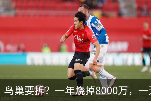 鸟巢要拆？一年烧掉8000万，一天20多万，这座＂吞金兽＂留着干啥